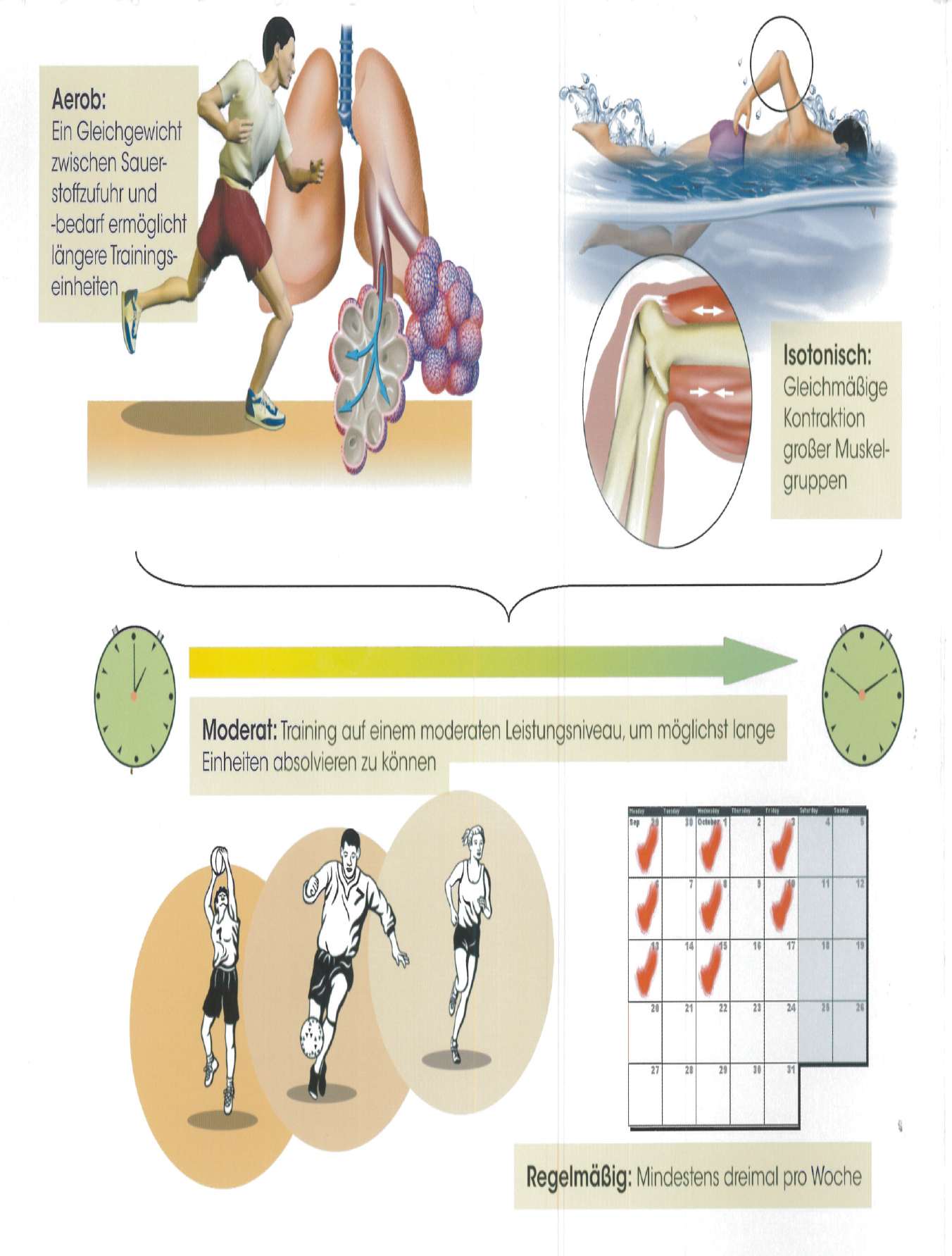 kezelése polyneuropathia diabetes mellitus 2)